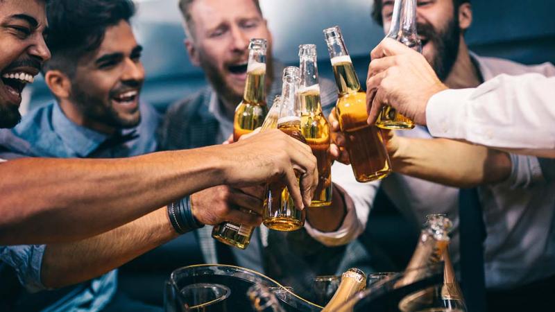 Vienna VIP Clubbing
